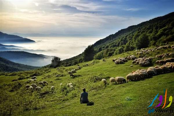جنگا ل ابر سمنان