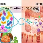 پروبیوتیکها و سلامت روده