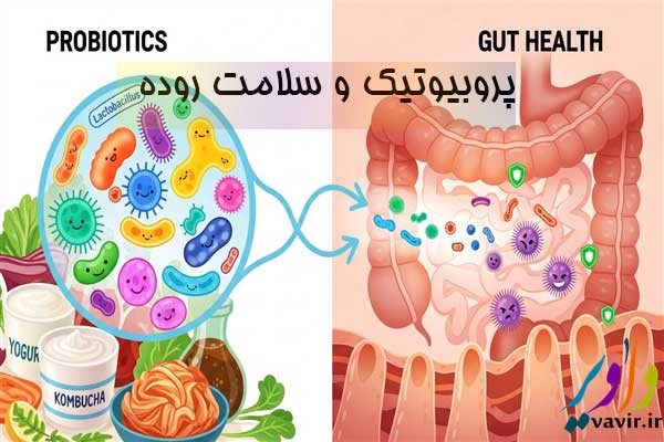 پروبیوتیکها و سلامت روده