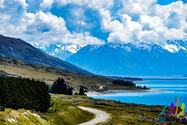 newsland - new zealand 1_new