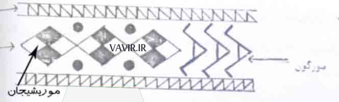 طرح مورشیجان در وریس بافی عشایر بختیاری